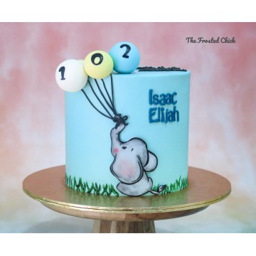Handrawn Elephant Flight Cake