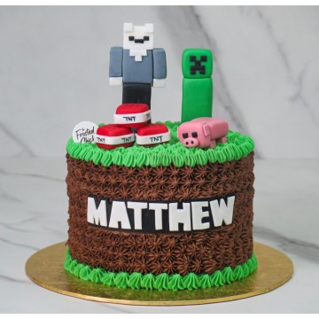 Minecraft Avatar Cake