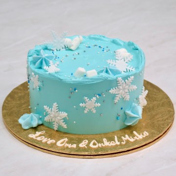 Frozen Winter Cake