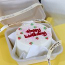 Bento / Mini Cakes