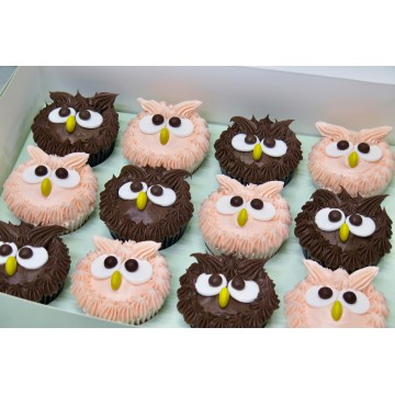Cute Owl Cupcakes
