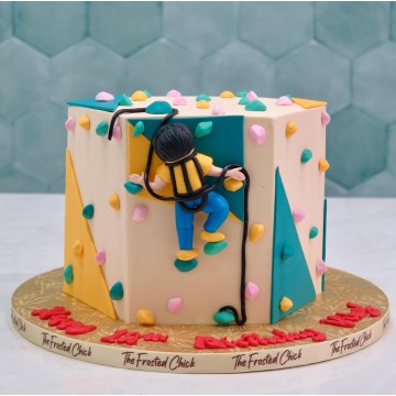 Rock Climbing Wall Cake