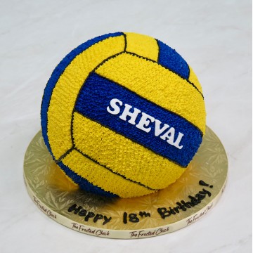 Volleyball Cake
