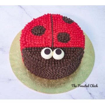 Lady Bug Cake