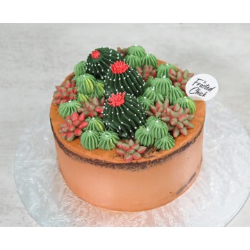 Succulents Cactus Cake