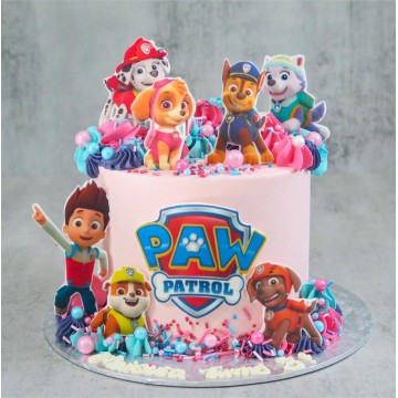 Paw Patrol Sparkles Cake