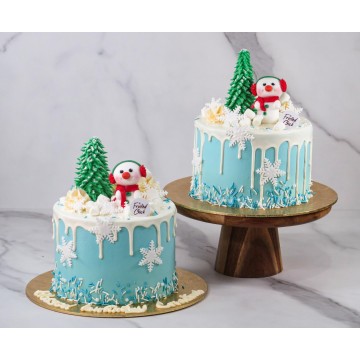 Winter Wonderland Cake