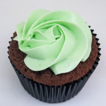 Mint Chocolate Cupcake