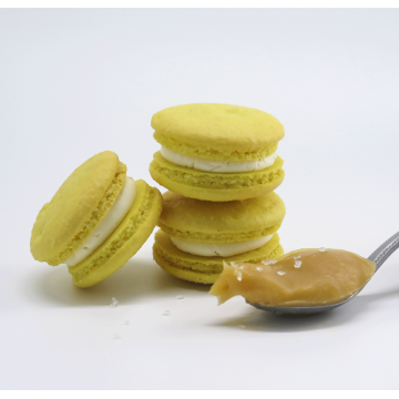 Salted Caramel Macaron