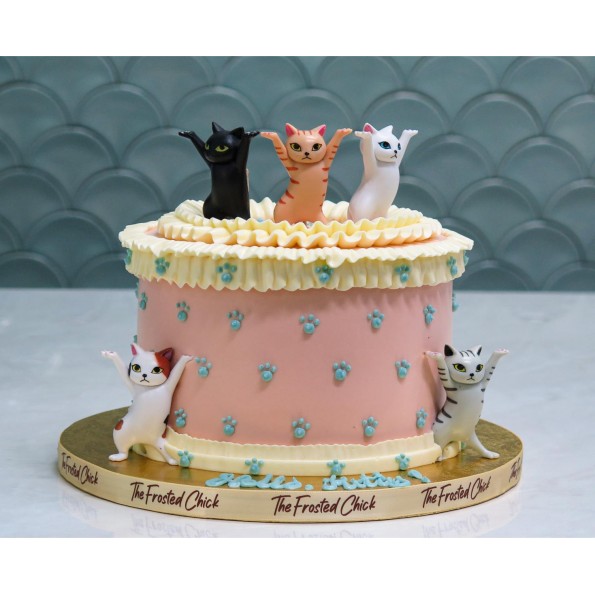 birthday cake kittens