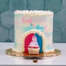 Gender Reveal